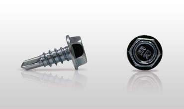 Tornillos de Fijación